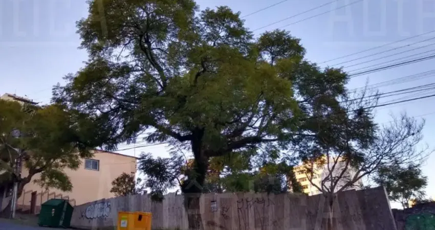 Terreno à venda na Rua Bento Gonçalves, Nossa Senhora de Lourdes, Caxias do Sul