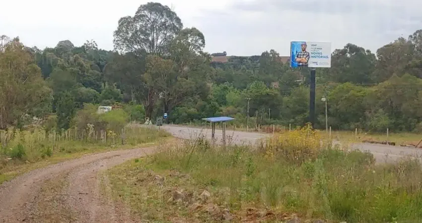 Chácara / sítio com 4 quartos à venda na Às margens da Rota do Sol, 00, Vila Seca, Caxias do Sul