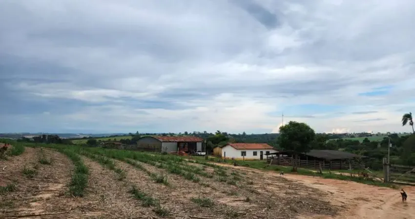 Chácara / sítio à venda na Área Rural, Área Rural de Artur Nogueira, Artur Nogueira