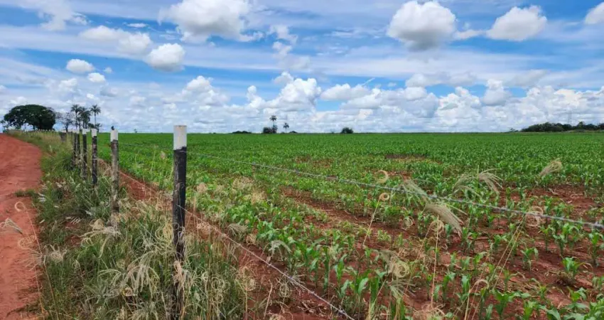 Chácara / sítio à venda na Área Rural, Área Rural de Artur Nogueira, Artur Nogueira