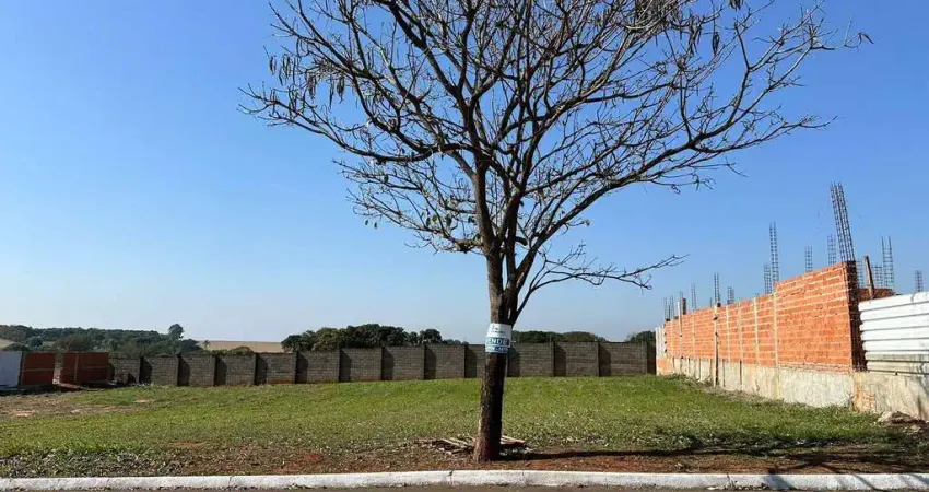 Terreno em condomínio fechado à venda na Rua Doutor Fernando Arens, Portal dos Manacás, Artur Nogueira