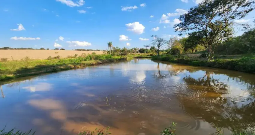 Chácara / sítio com 5 quartos à venda na Área Rural, Área Rural de Artur Nogueira, Artur Nogueira
