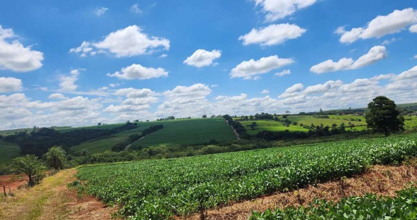 Chácara / sítio à venda na Área Rural, Área Rural de Artur Nogueira, Artur Nogueira