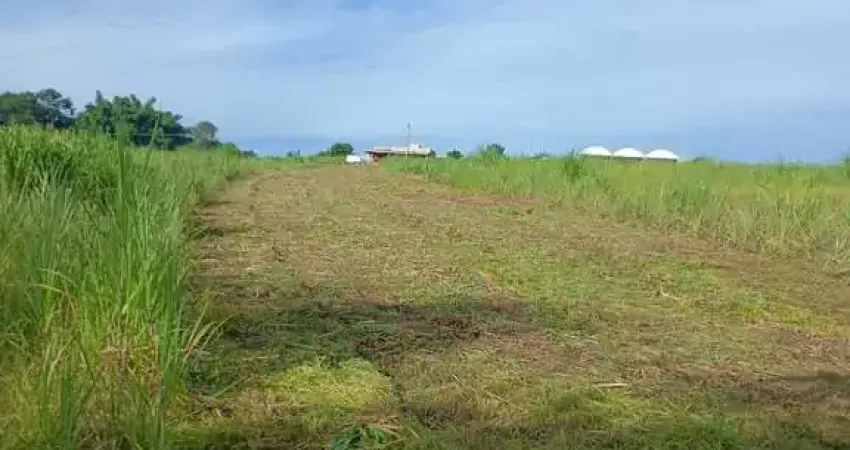 Chácara / sítio à venda na Área Rural, Área Rural de Cosmópolis, Cosmópolis