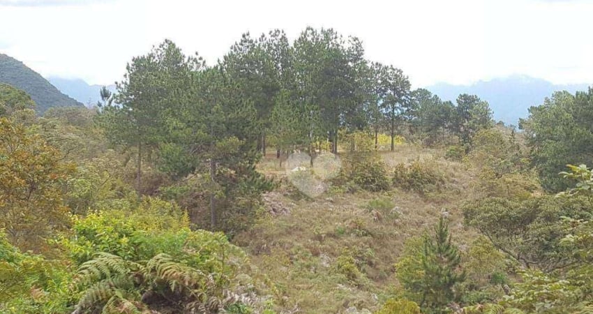 Terreno à venda, 1690000 m² por R$ 25.000.000,00 - • Itaipava - Petrópolis/RJ