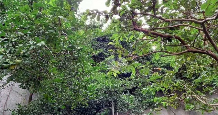 Casa com 5 dormitórios à venda, 363 m² por r$ 1.850.000,00 - grajaú - rio de janeiro/rj