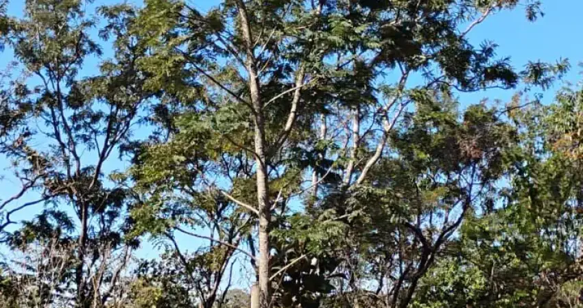 Chácara / sítio à venda na Rua Aparicio Ferreira, Morada Nova, Uberlândia