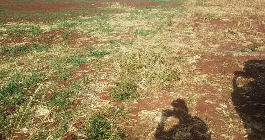 Sítio para Venda em Tuneiras do Oeste, Bairro Ouro Verde