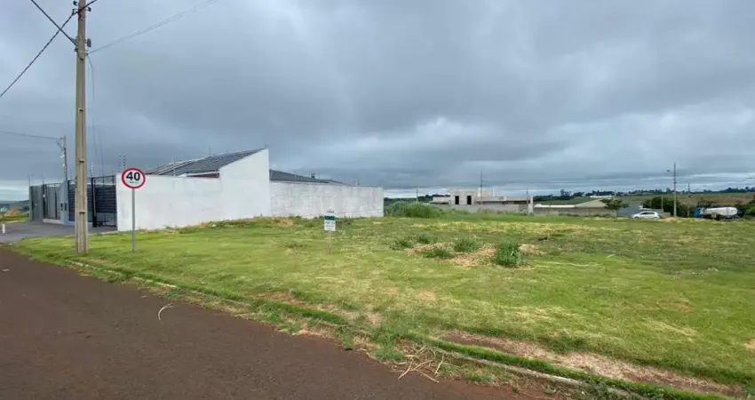 Terreno comercial à venda na Rua Pioneira Maria Ariette Cecconi Maio, Jardim Barcelona, Maringá