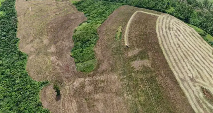 Chácara / sítio à venda na Área Rural, Sertãozinho, Engenheiro Beltrão