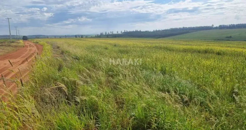 Chácara / sítio à venda na Área Rural, Zona Rural, Terra Boa