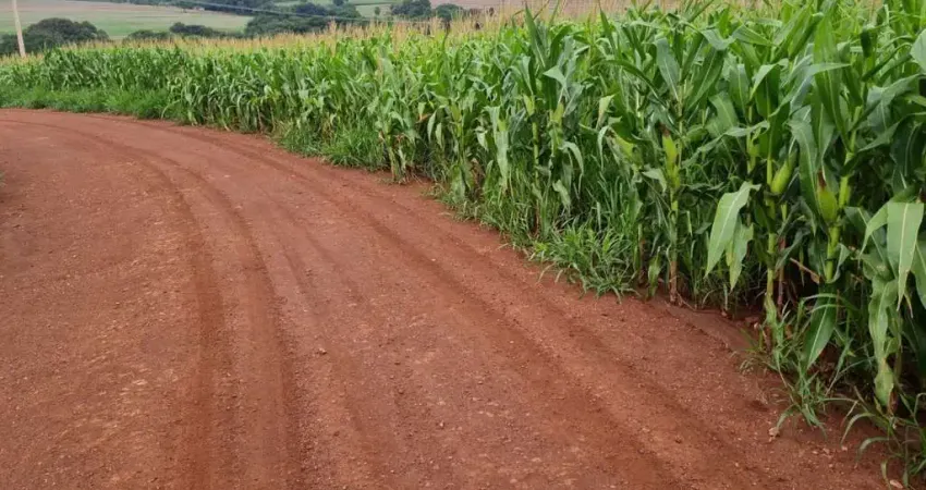 Sítio para venda - distrito de são vicente, localizado na cidade de araruna / pr.
