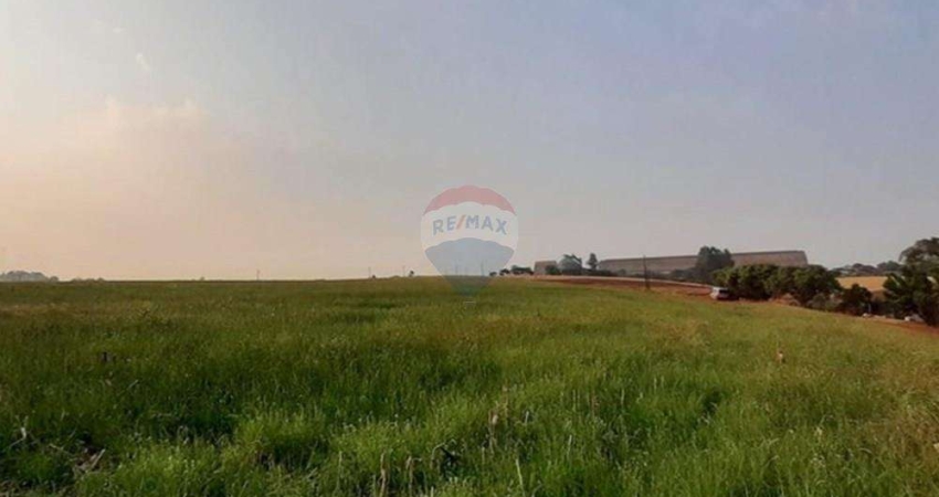 Terreno comercial à venda no Centro, Cascavel 