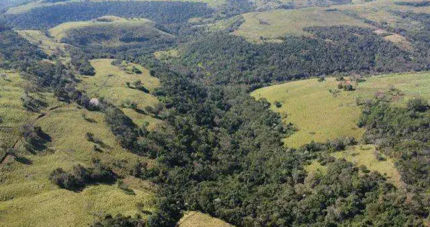Chácara / sítio com 1 quarto à venda na IVAN FERREIRA DO AMARAL, S/N, Centro, Guaraniaçu