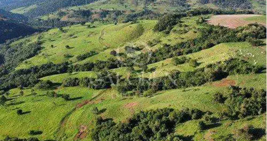 Chácara / sítio com 1 quarto à venda na Avenida Paraná, Centro, Campo Bonito