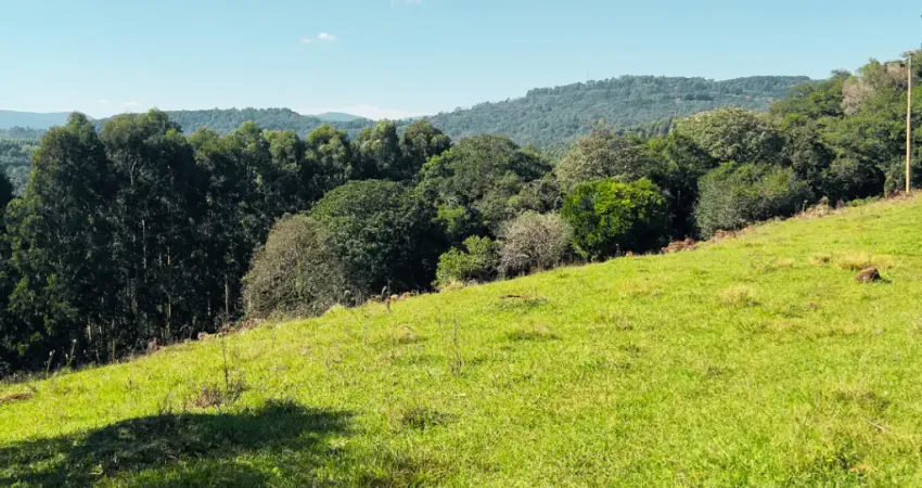 Chácara com 10.000 m² entre Três Coroas e São Francisco de Paula  Apenas 300 metros da ERS-020