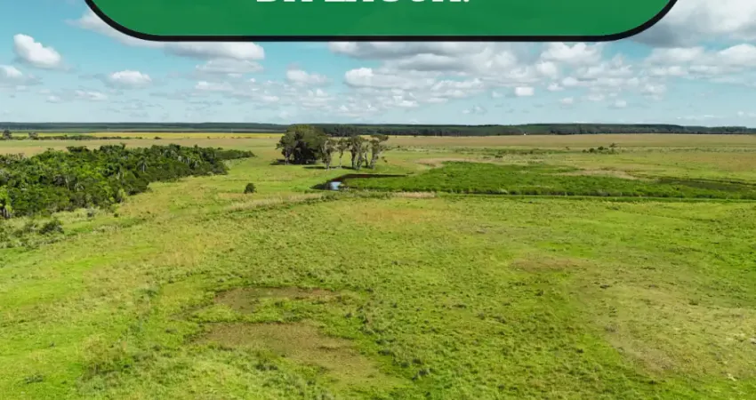 Oportunidade Única, Sítios de 2 hectares em condomínio fechado, ao lado da lagoa e praia