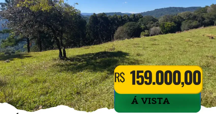Chácara / sítio à venda na Estrada da Amizade, Zona Rural, Três Coroas