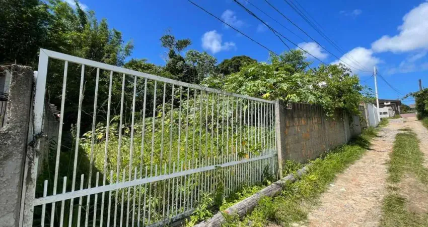 Terreno à venda no São João do Rio Vermelho, Florianópolis