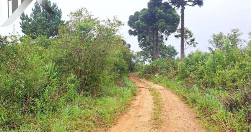 Chácara / sítio à venda na Rua Leonardo Muchau, Espigão das Antas, Mandirituba