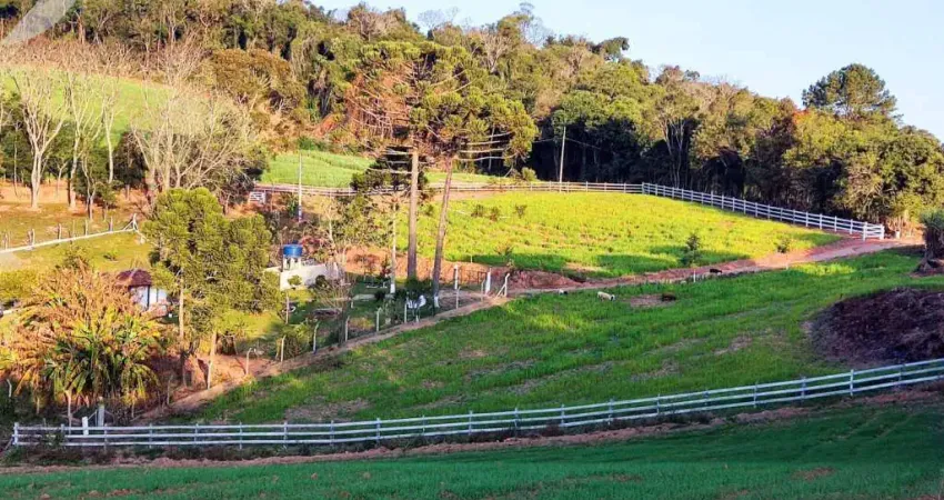Maravilhosa chácara no ribeirão vermelho quitandinha - paraná