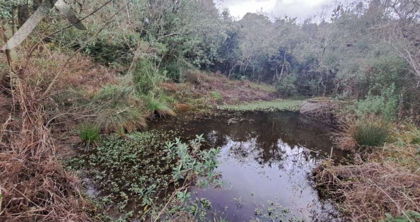 Chácara / sítio com 2 quartos à venda na Rodovia Pr 281 Km, SEM, Tabatinga, Tijucas do Sul
