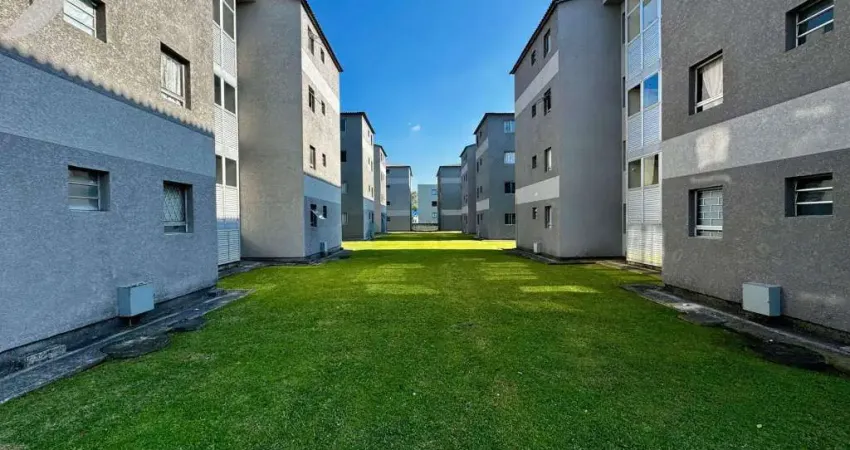 Apartamento com 2 quartos à venda na Rua Maria Paulina Pereira, 30, Ouro Fino, São José dos Pinhais