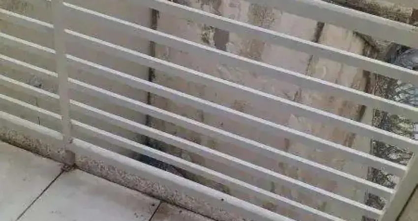 Casa com 2 quartos à venda na Vila Mirante, São Paulo 