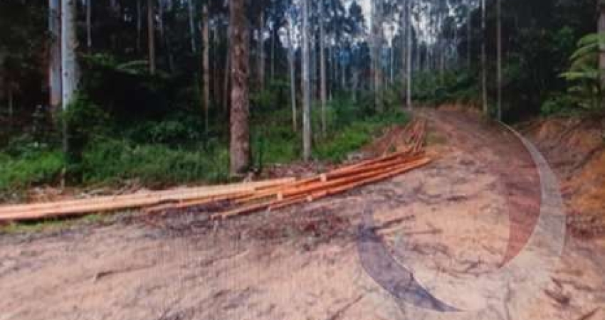 Terreno à venda na Rio Bloemer, --, Centro, São Bonifácio