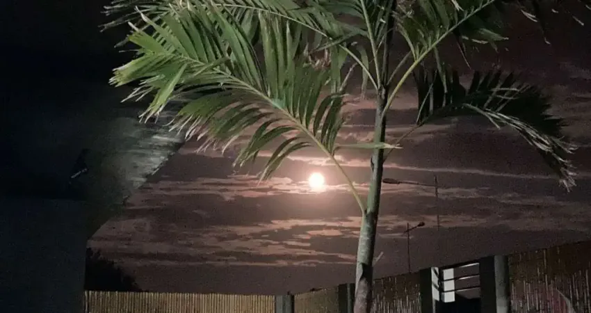 Casa com 4 quartos à venda na Rodovia Doutor Antônio Luiz Moura Gonzaga, --, Rio Tavares, Florianópolis