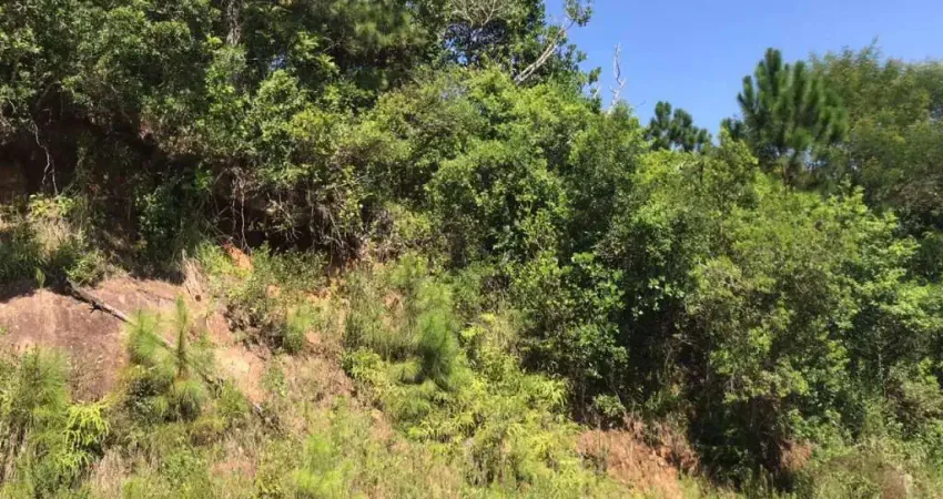 Terreno à venda na Rodovia Admar Gonzaga, --, Itacorubi, Florianópolis