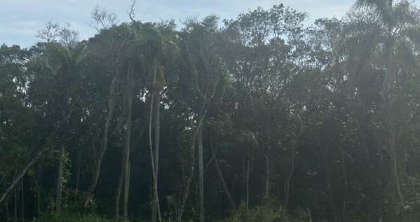 Terreno à venda na Rua Vidal Vicente Andrade, --, Sertão do Maruim, São José