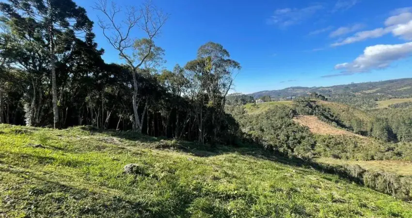 Terreno em condomínio fechado à venda na Clara Schmitz Pitz, --, Invernadinha, Rancho Queimado