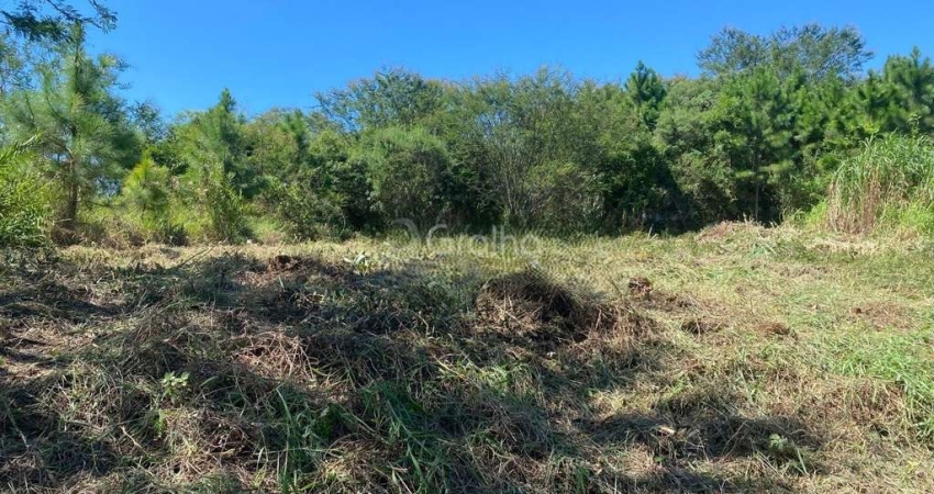 Terreno à venda na Francelina Domingos de Jesus (rua G), --, Roçado, São José