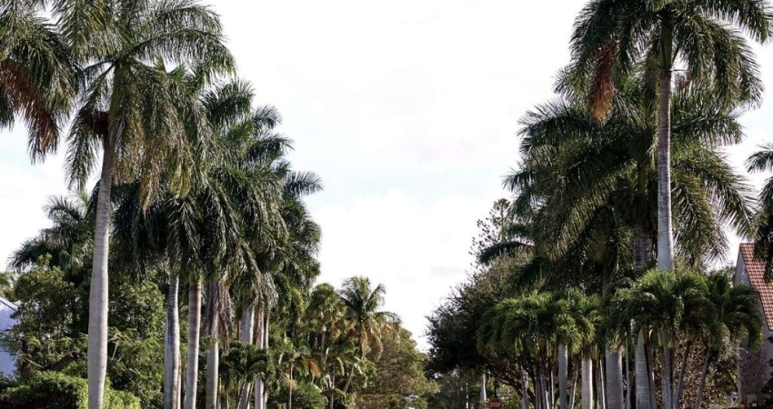Prédio à venda na Rua da Capela, --, Campeche, Florianópolis