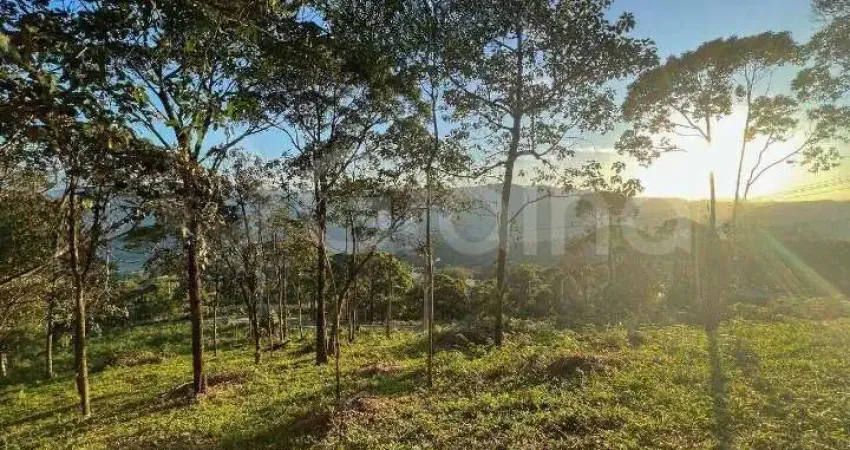 Terreno em condomínio fechado à venda na dos Araçás, --, Varginha, Santo Amaro da Imperatriz