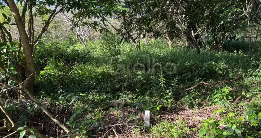 Terreno à venda na Pedro Manoel Borba, --, Açores, Florianópolis