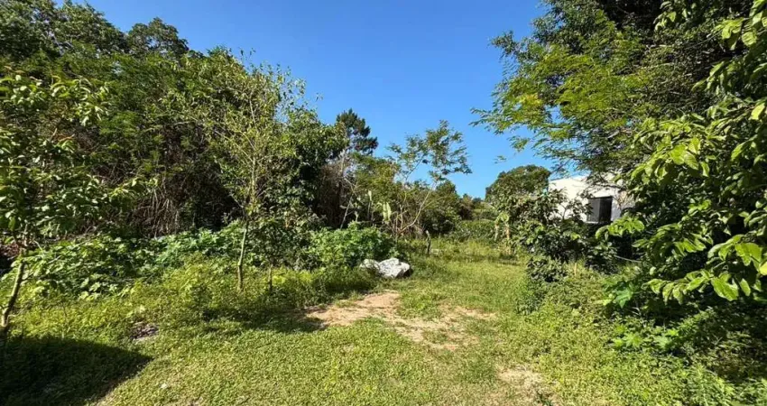 Terreno à venda na Pedro Manoel Borba, --, Açores, Florianópolis