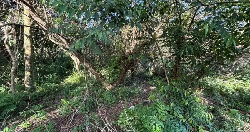 Terreno à venda na Servidão Pedro Manoel Borba, --, Açores, Florianópolis