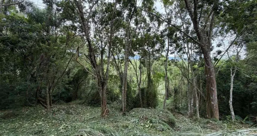 Terreno à venda na Rua do Lamim, --, Canasvieiras, Florianópolis