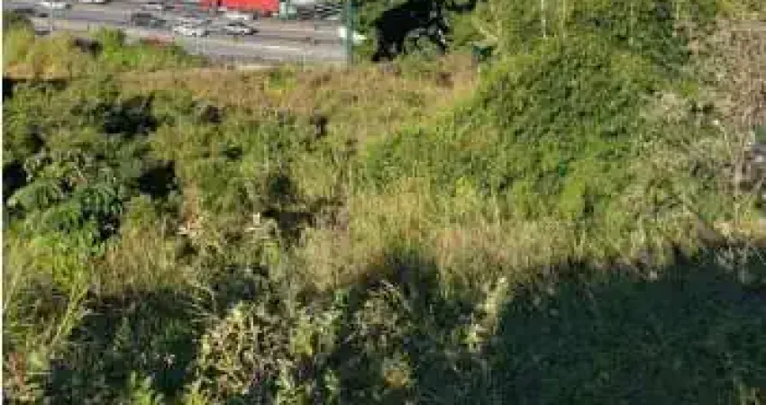 Terreno à venda na Rodovia BR-101, --, Picadas do Sul, São José