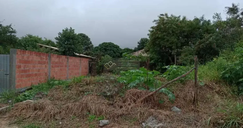 Terreno à venda na Rodovia João Gualberto Soares, São João do Rio Vermelho, Florianópolis