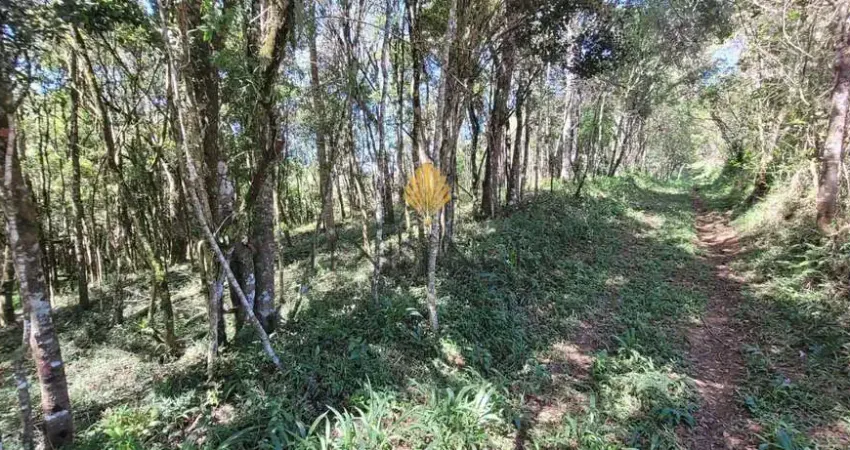 Chácara à venda, 70.153 m2 por R  559.000,00 - Área Rural - São José dos Pinhais PR