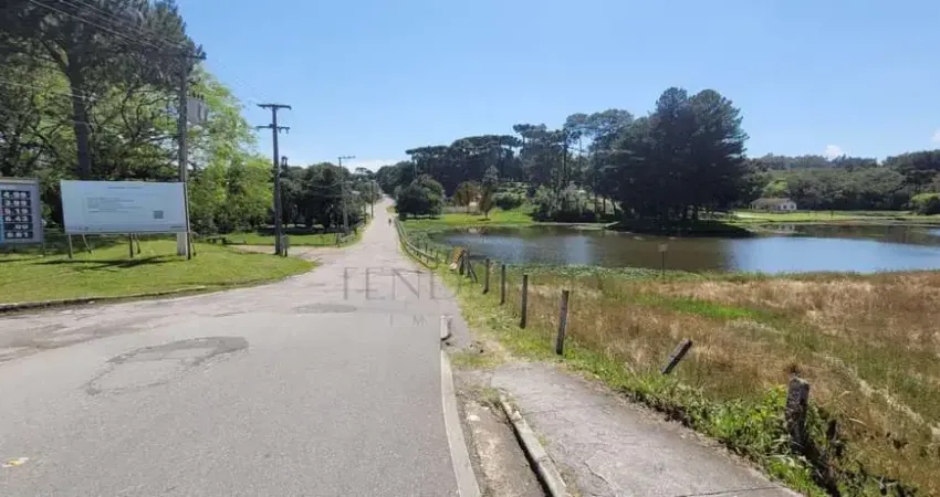 Chácara / sítio com 1 quarto à venda na Rua Domingos Valaski 999, Zona Rural, São José dos Pinhais
