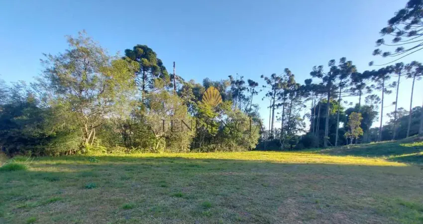 Terreno à venda, 1.060 m2 por R  559.000,00 - Rondinha - Campo Largo PR