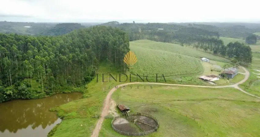 Fazenda à venda, 6.848.600.00 m2, Colônia Murici, SAO JOSE DOS PINHAIS - PR