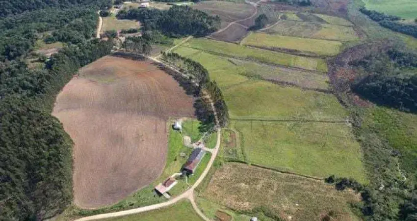 Fazenda à venda, 6.848.600.00 m2, colônia murici, sao jose dos pinhais - pr