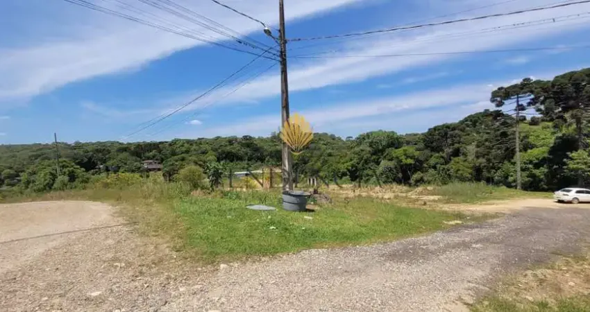 Terreno à venda, 10246 m  por R  2.499.000,00 - Centro - Tijucas do Sul PR