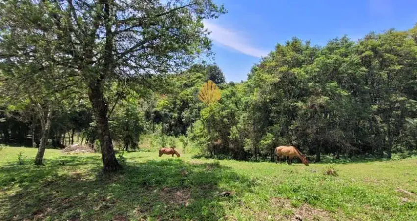 Chácara à venda, 29.519 m2 por R  399.000,00 - Tabatinga - Tijucas do Sul PR