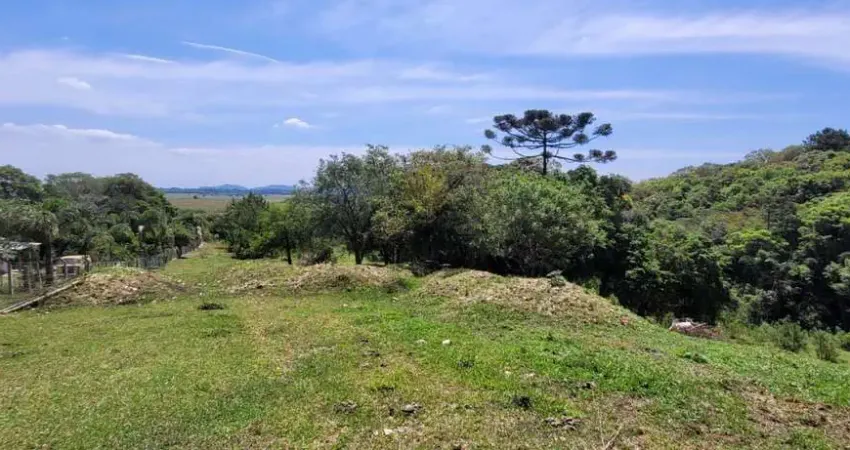 Chácara / sítio com 1 quarto à venda na Estrada Rural Tabatinga, 999, Tabatinga, Tijucas do Sul